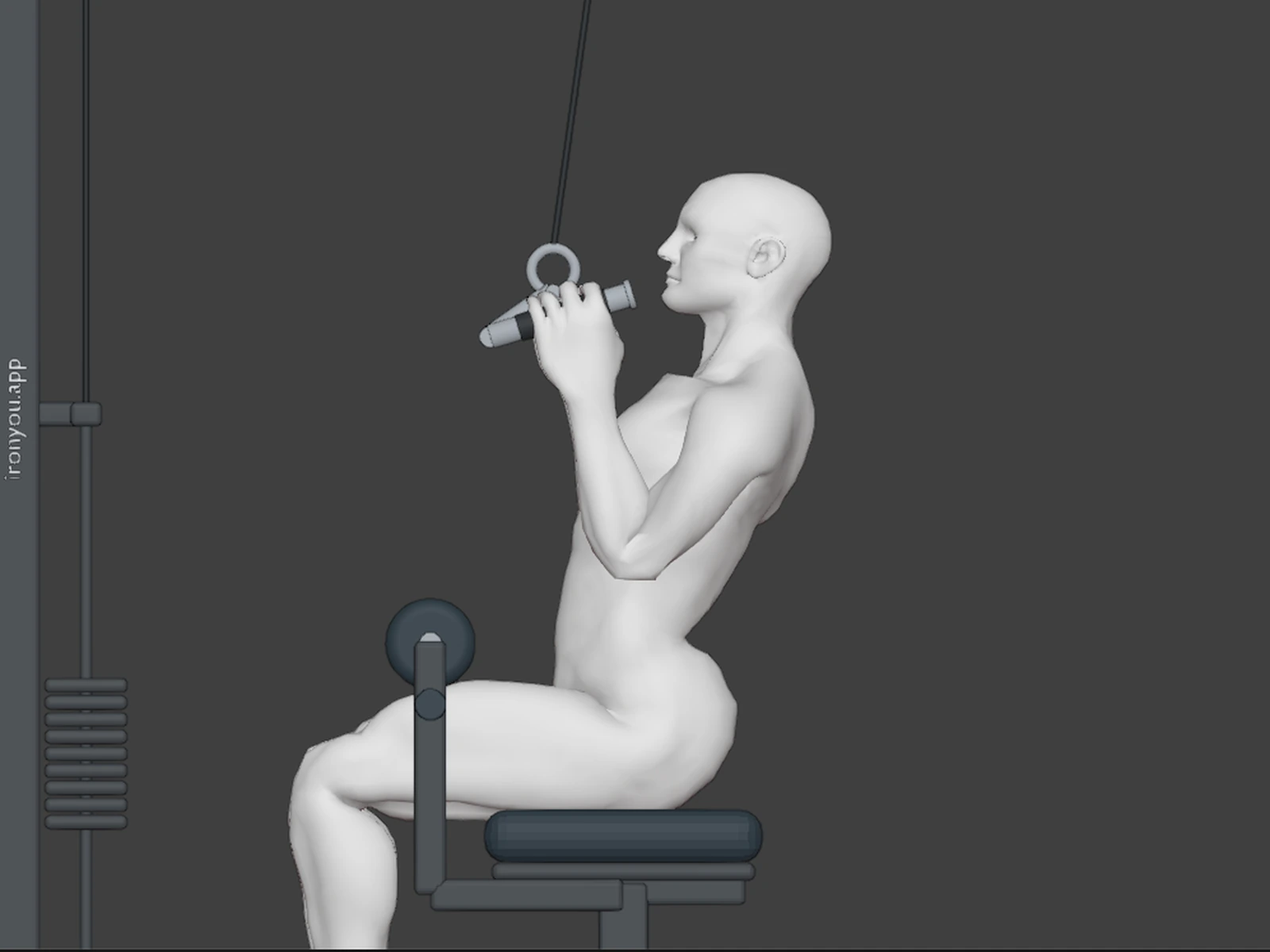 Neutral Grip Lat Pulldown — Bottom