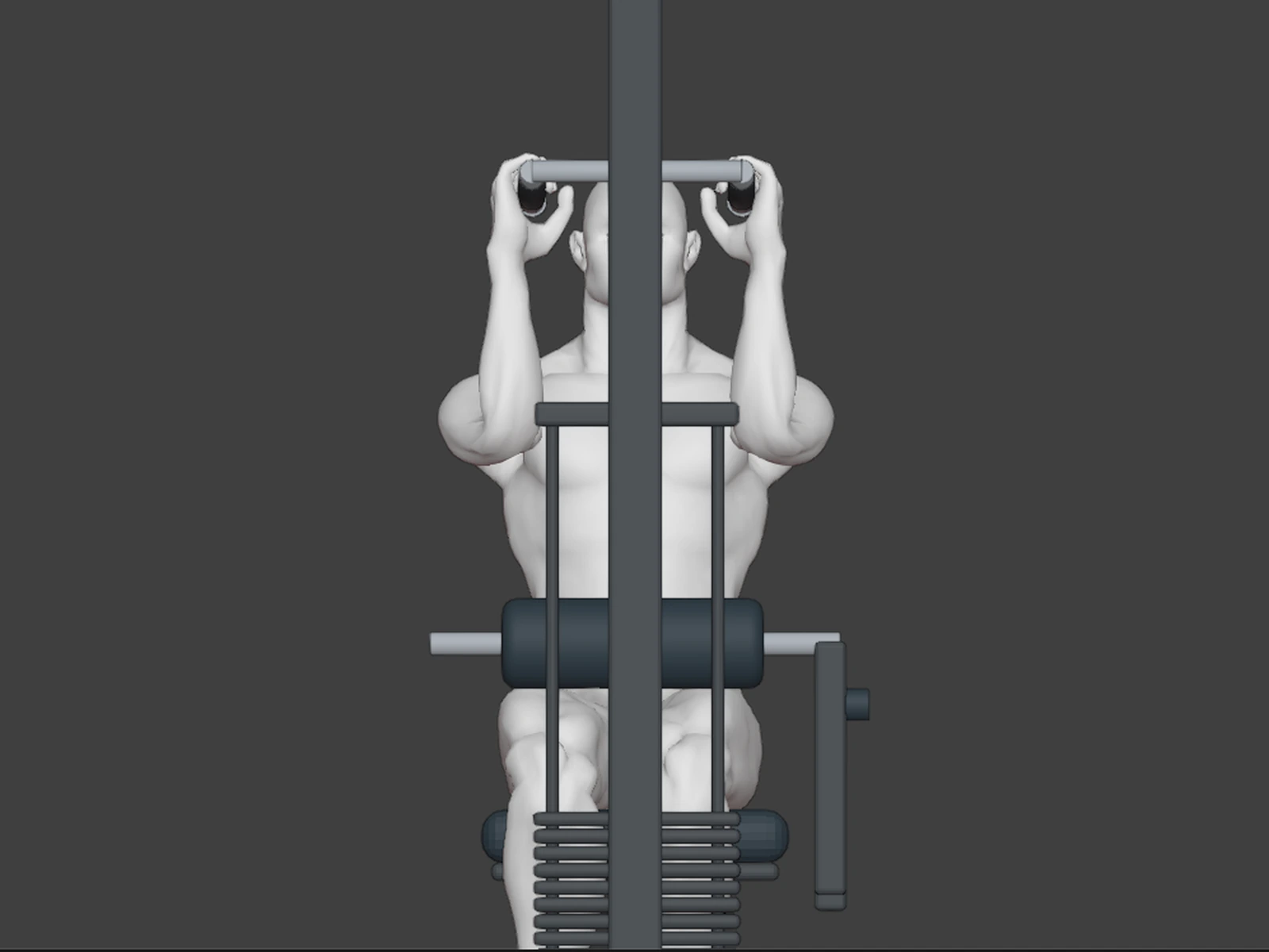 Neutral Grip Lat Pulldown front view