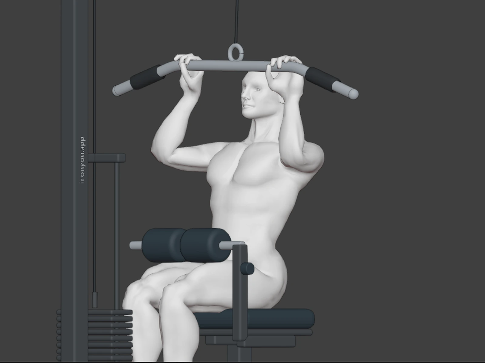 Lat Pulldown in 3D — Inspect the overhand pulling path by moving between a front view, side view and the angles between them.