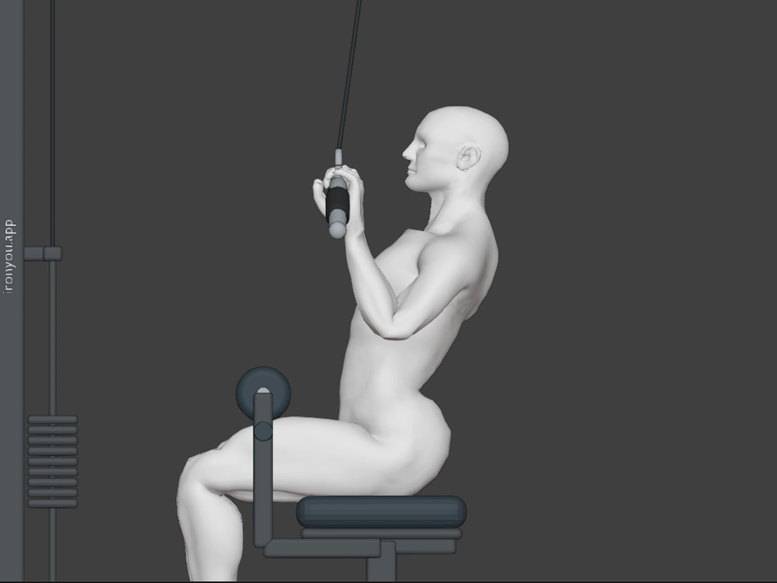 Lat Pulldown — Bottom