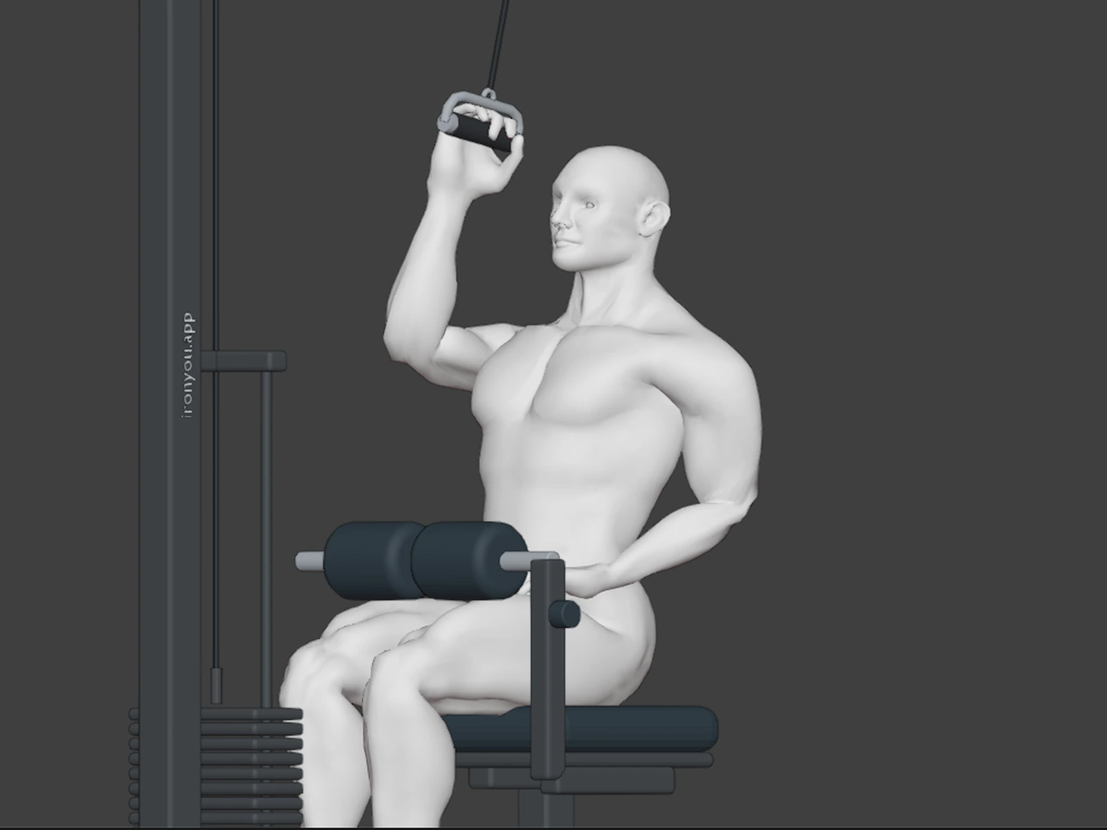 Single Arm Lat Pulldown in 3D — A fixed camera can hide a unilateral pulling path. Rotate around the working arm and torso to inspect the full movement.