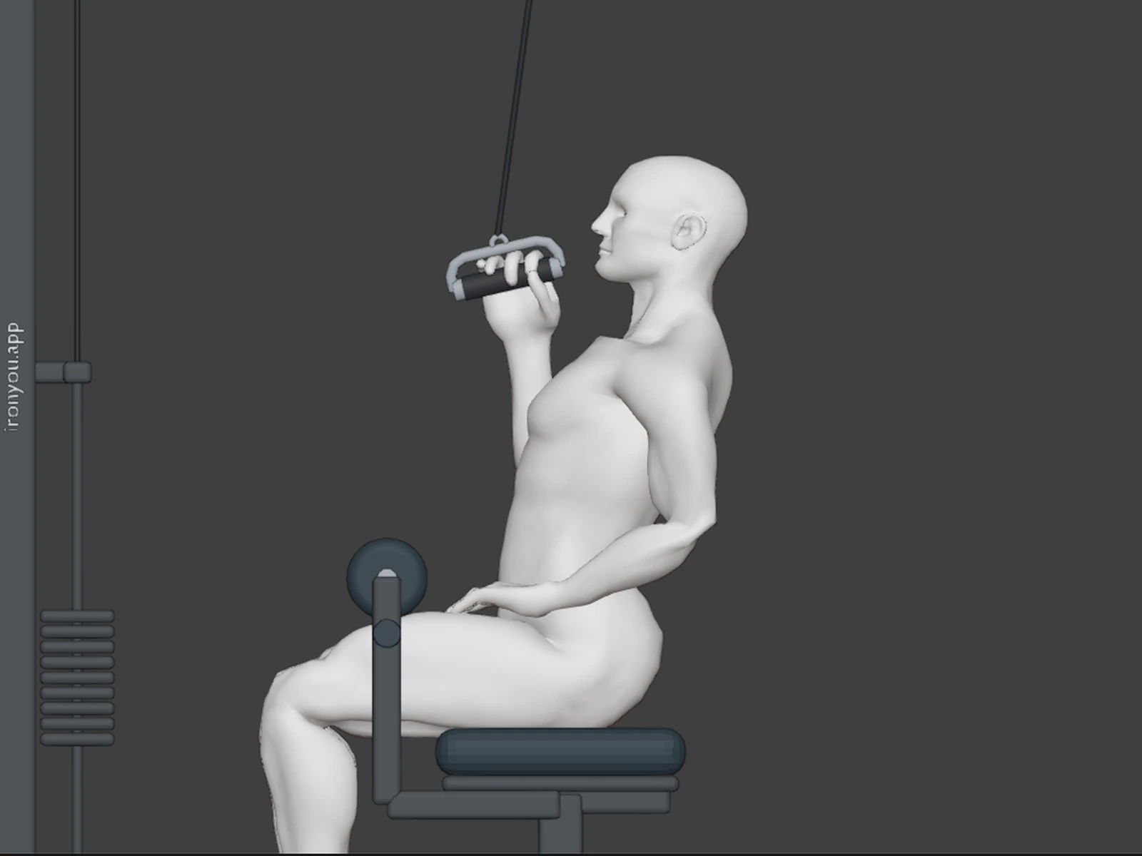 Single Arm Lat Pulldown — Bottom
