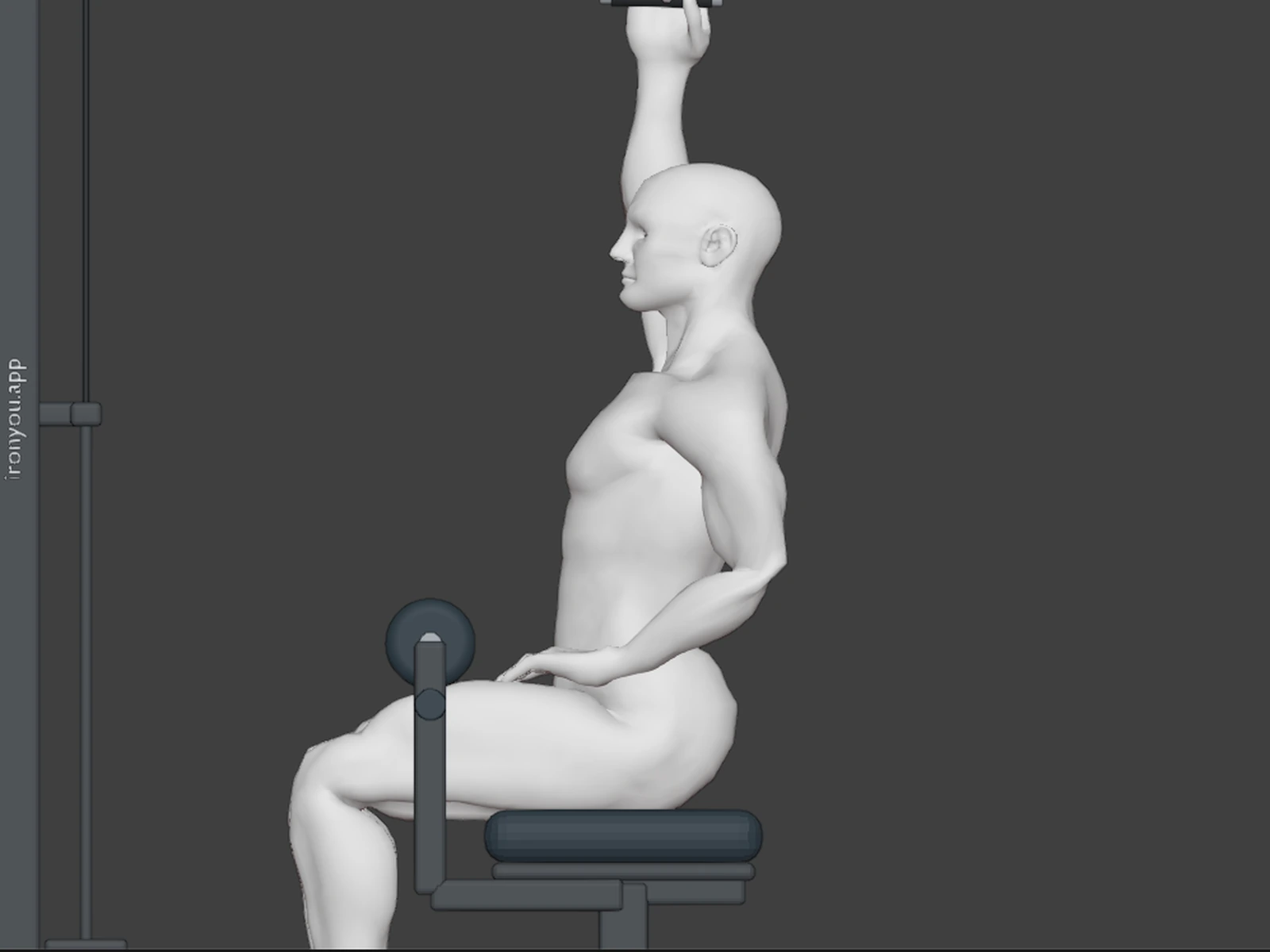 Single Arm Lat Pulldown — Side