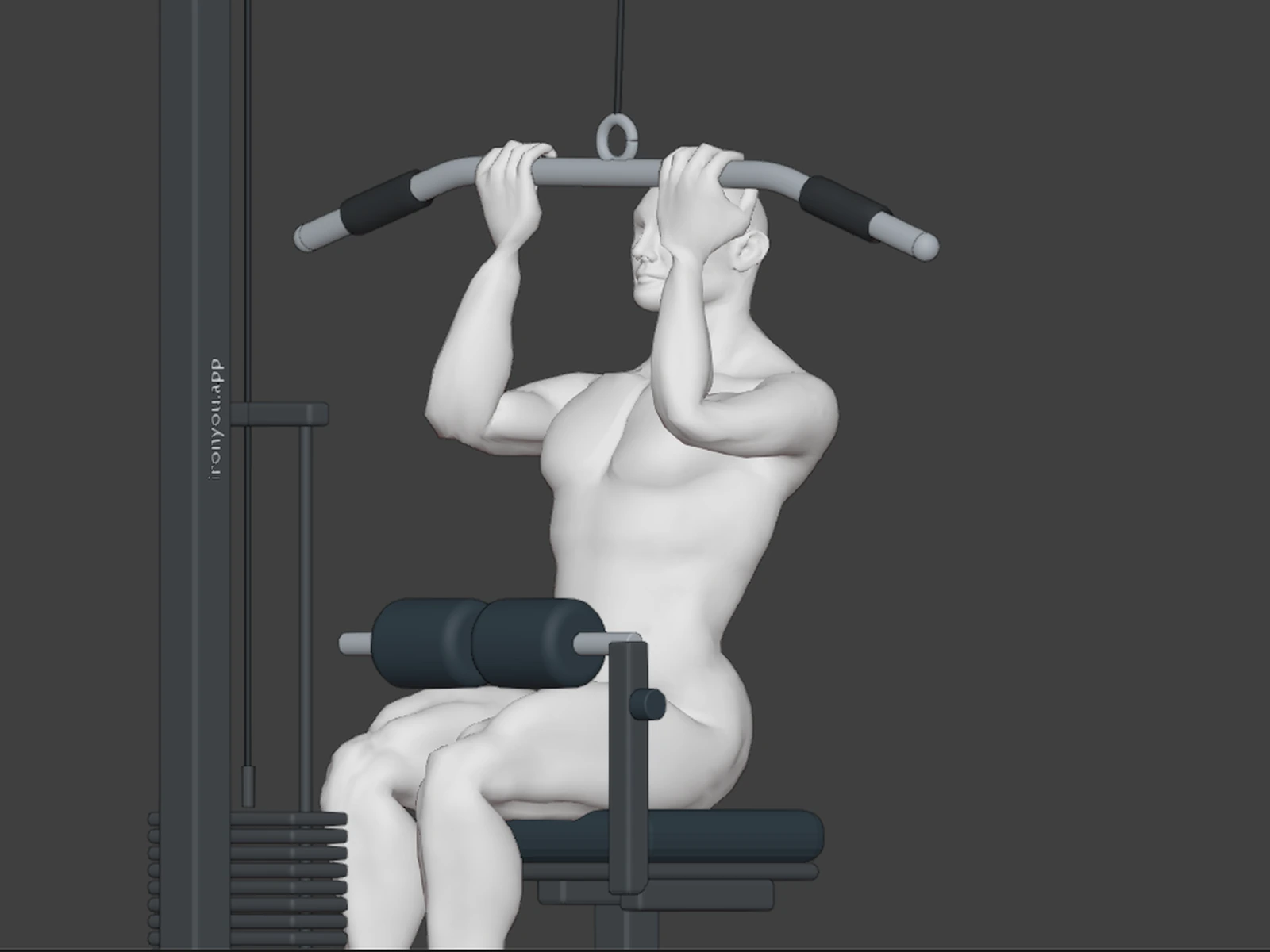 Underhand Lat Pulldown in 3D — The interactive view makes the supinated forearm orientation and elbow route visible from front and three-quarter angles.