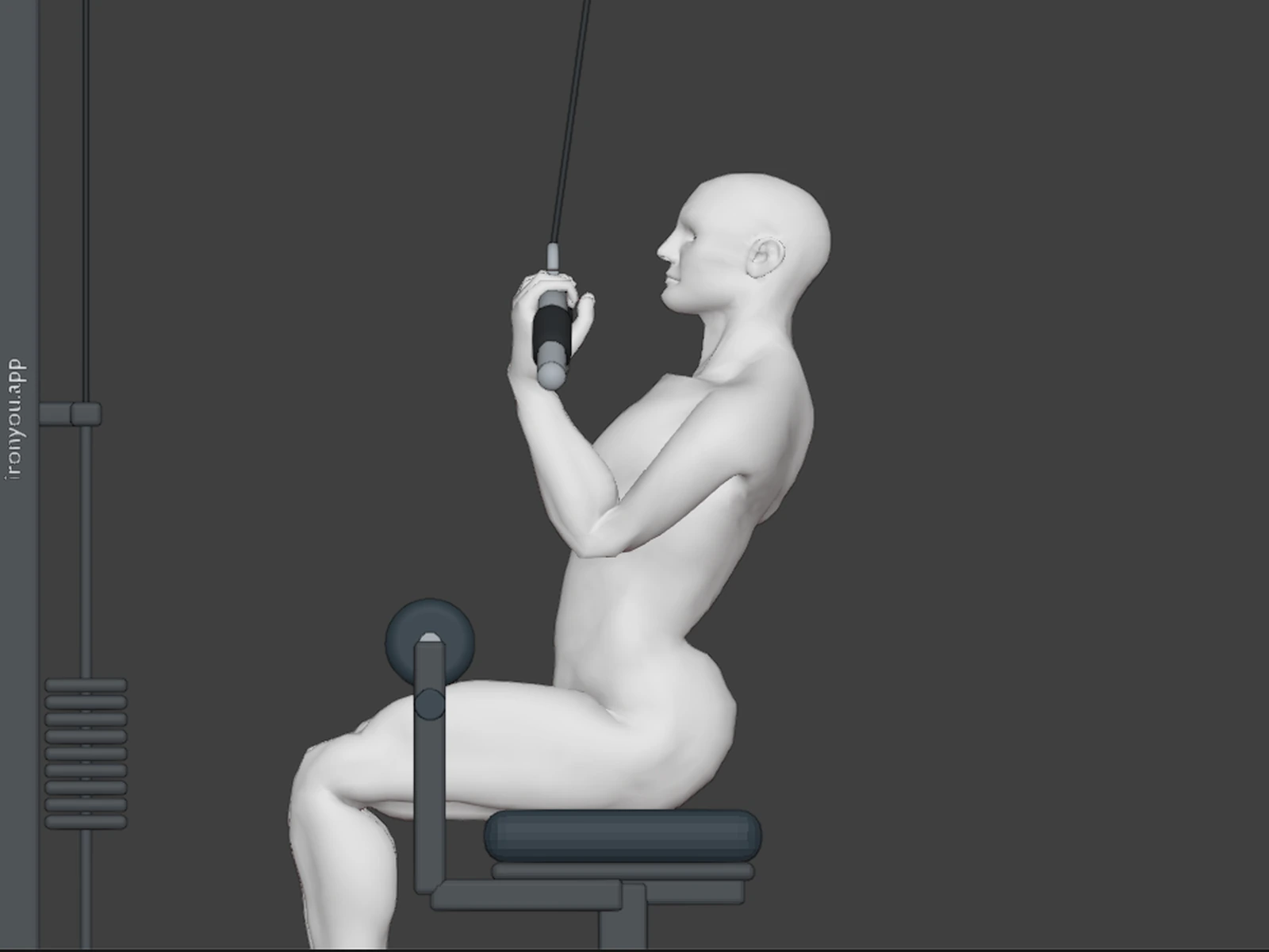 Underhand Lat Pulldown — Bottom
