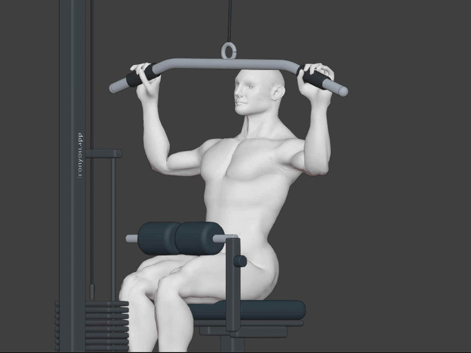 Wide Grip Lat Pulldown in 3D — Use the free camera to inspect the wide hand spacing, elbow path and symmetry from more than one angle.